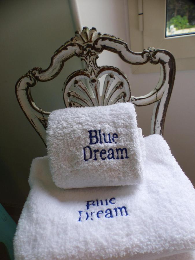 Blue Dream Cannes Guest House Dış mekan fotoğraf