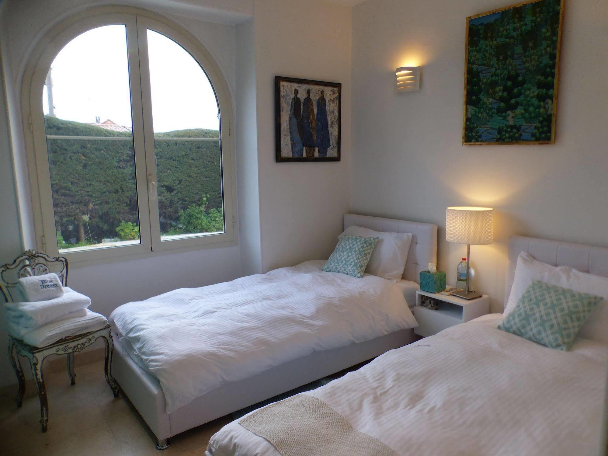 Blue Dream Cannes Guest House Dış mekan fotoğraf